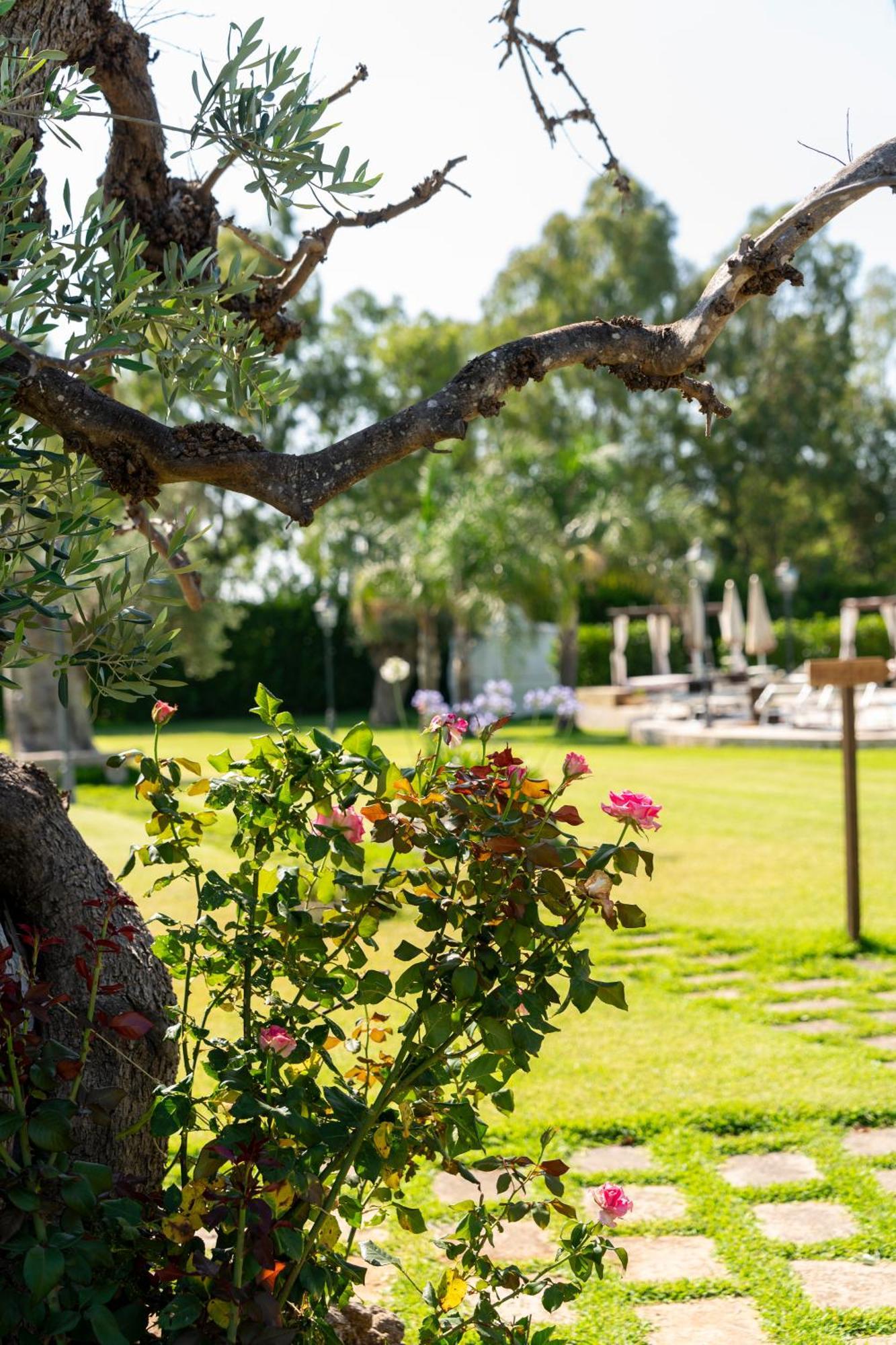 Masseria Giamarra Carpignano Salentino Exterior photo